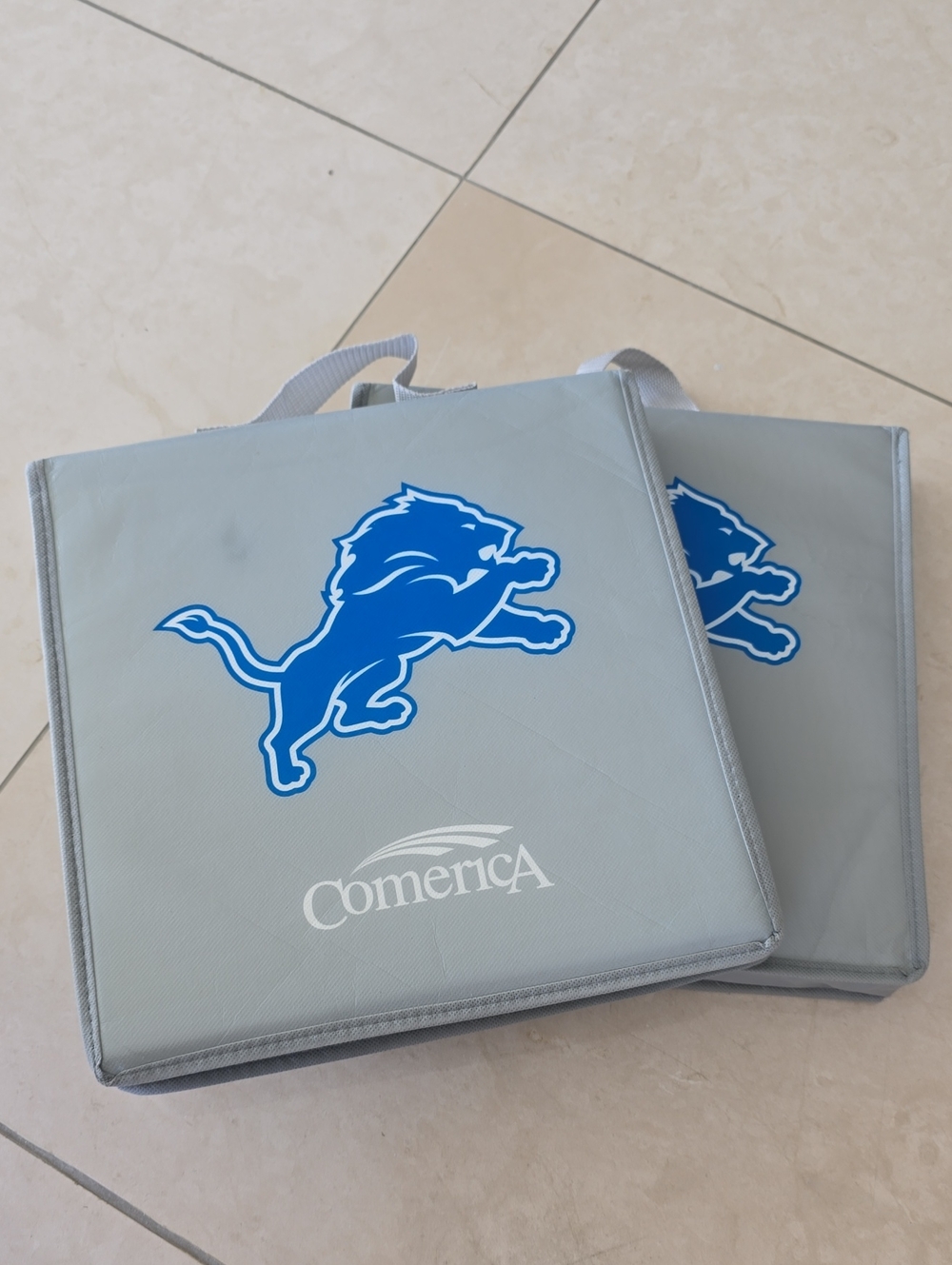 Detroit Lions Stadium Seat Cushion with Handle - Set Of 2 - Gray, Blue and White
